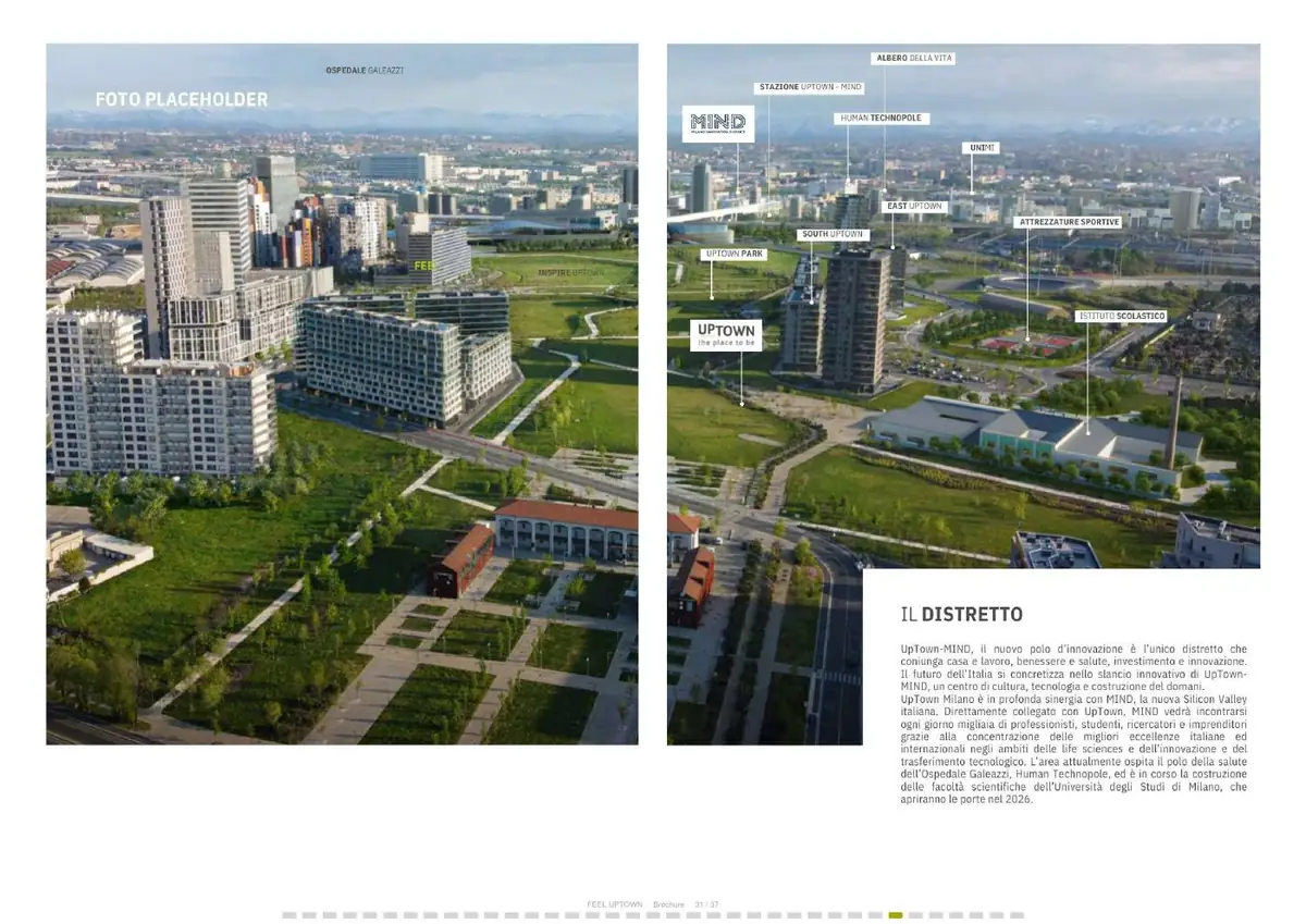Pagina 31